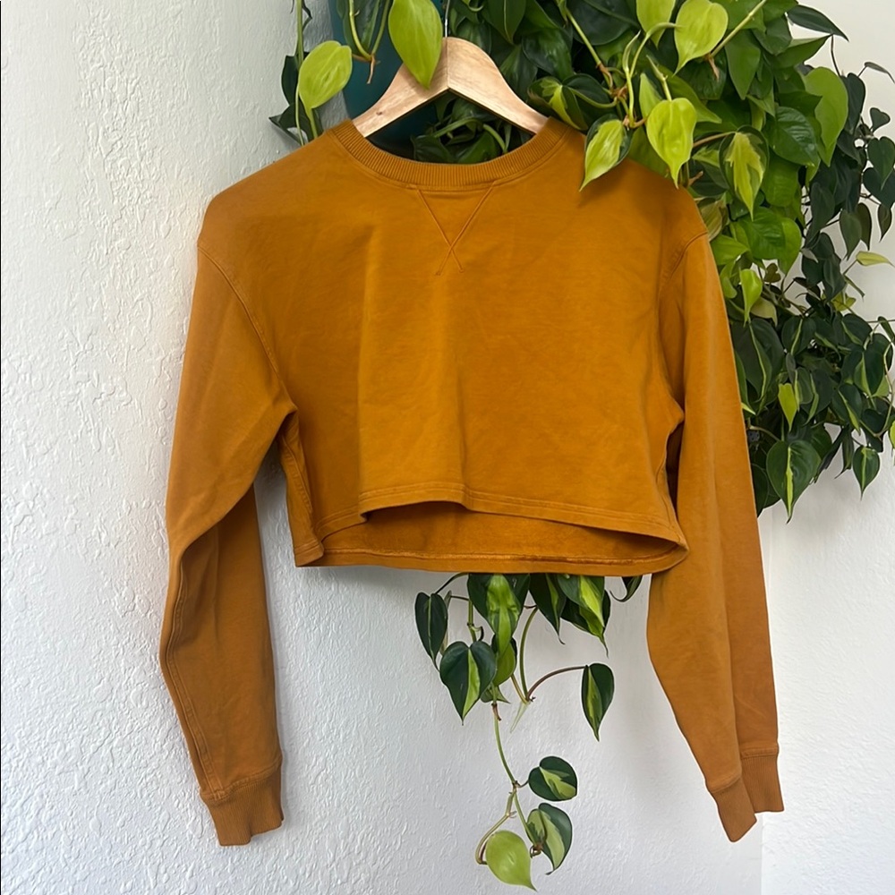 Women's Mustard Cropped Sweatshirt